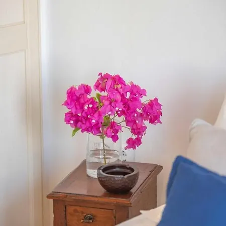 Luxury Estate Plaka * Naxos City